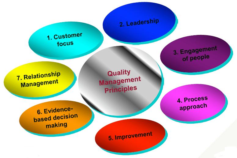 Continual performance improvement through implementation of 7 Quality Management Principles: primary focus: meet customer requirements, strive to exceed customer expectations manage relationships