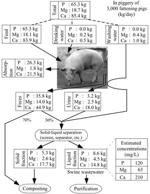 Estimation of P, Mg and Ca flows in an average swine husbandry