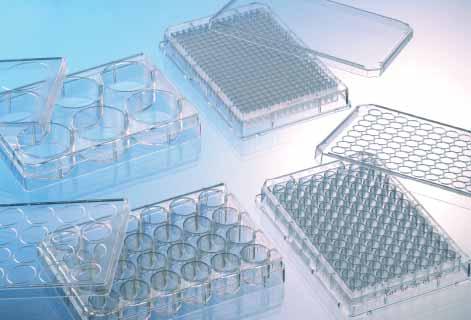 1 Cell/ 657 940 781 940 PolyDLysine CELLCOAT Cell Culture Multiwell Plates Cell Culture 2 HTS 662 940 655 940 Cell Culture Multiwell Plates p. 1 I 11 Cell Culture p. 1 I 12 ff.