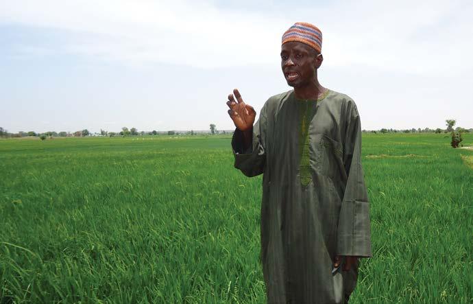 Figure 18: A rice farmer in Jega, Sokoto state shows off his rice fields In the words of Dan Rabi, a local entrepreneur who provides mobile threshing services for rice farmers, We have never seen