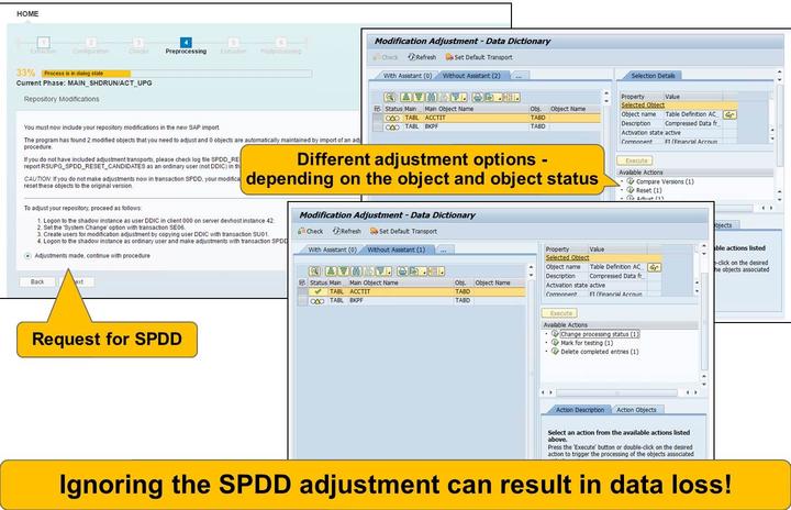 Lesson: SUM Procedure Figure 132: SUM Execution Part: Request for SPDD The SPDD