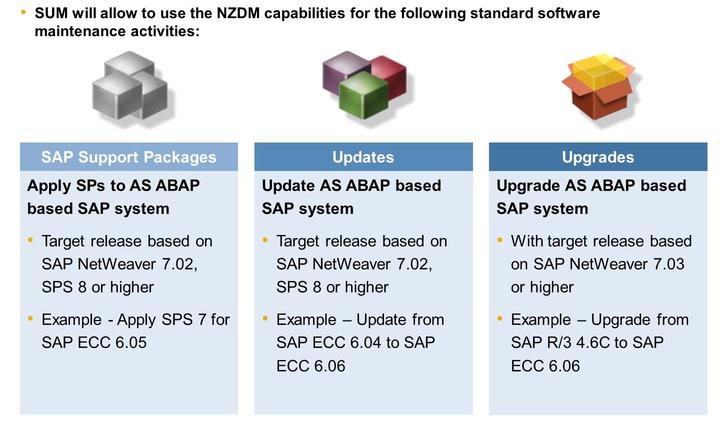 Unit 9: Downtime Figure 195: NZDM Capabilities for SAP Business