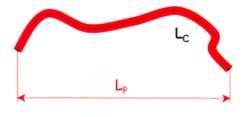 length (L P ) bar width +
