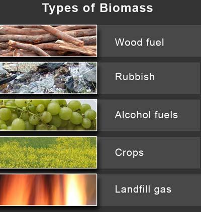 4) Biomass energy --> based on the chemical energy stored in living things; can be converted directly into thermal energy;