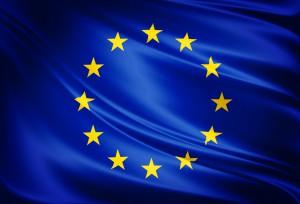 THE EUROPEAN UNION AND ITS INSTITUTIONS Answer
