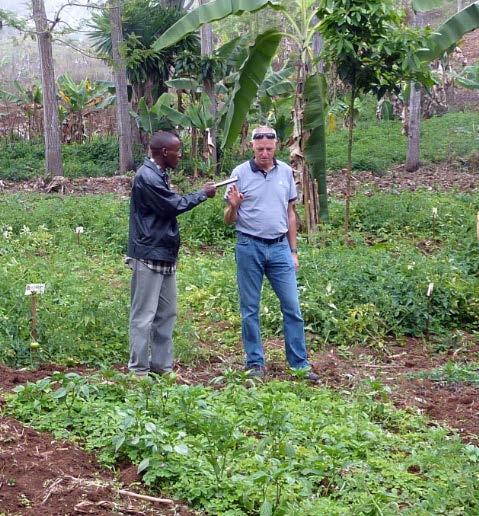 Competition from exporting companies Organic production in Lushoto Usambara Mountains,