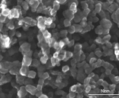 Scanning electron micrograph of the surface of a mesoporous anatase film prepared from a