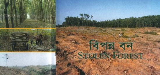 While intensive forest plantation and conservation