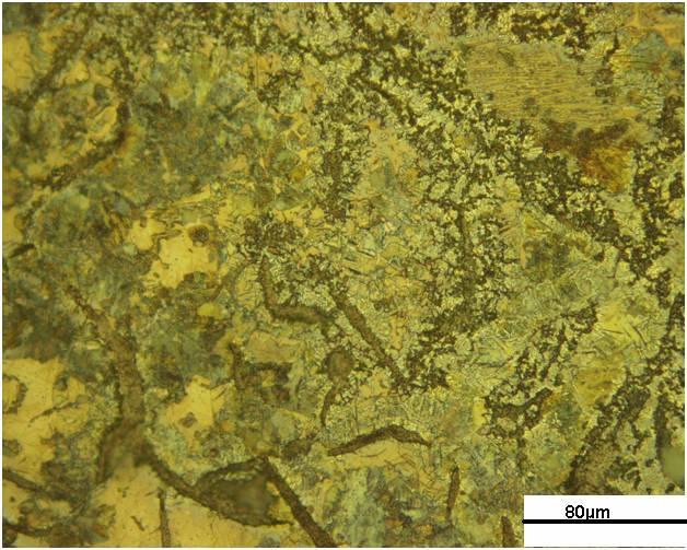 Microstructure of weld metal shows the dendritic structure of austenitic structure of Copper-Nickel alloy as shown in Fig. 8.