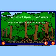 Explain the importance of the nutrient cycle in the rainforest (4 Marks) Suggest how reducing tree cover could impact the nutrient cycle/ rainfall in the rainforest (4 marks) Tropical Rainforest an