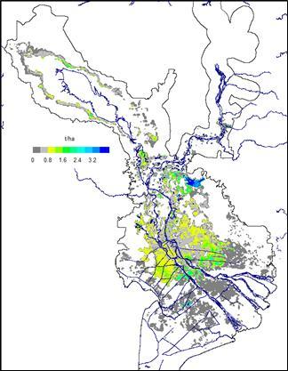 Potential positive impacts from LMB hydropower development Social Employment opportunities from dam construction CHANGES IN RICE YIELDS FROM REDUCED