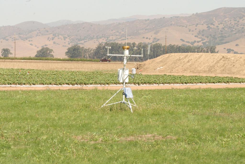 Two irrigation rates were evaluated Irrigation Treatment Crop ET