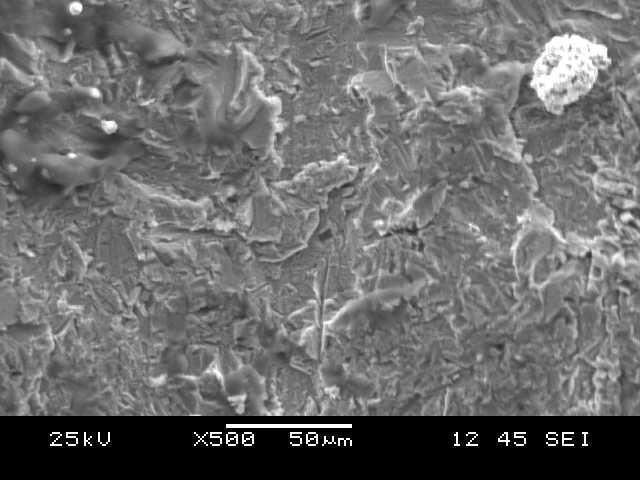 A. Scanning Electron Microscope Analysis II. RESULTS AND DISCUSSION A microstructure of the coating of 88 % WC - 12% Co applied on ASTM A36 steel substrate was examined using SEM.