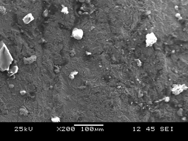 The grey shades in the SEM image represent cobalt rich binder matrix [10]. Figure (a) shows the non-melted WC particle and dissolved WC particle.