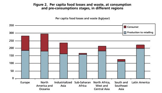 Food Production and Losses FAO. 2011.
