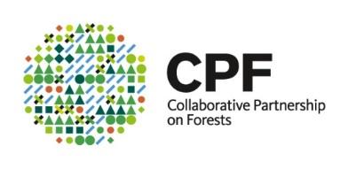 GLOBAL FOREST EXPERT PANELS IUFRO-led initiative of the Collaborative Partnership on Forests (CPF) since 2006 Supports forest-related intergovernmental processes by producing assessment reports on