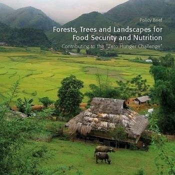 Forests and Food Security (2015) Forests and trees matter for food security and nutrition Prevalence and diversity of forest and tree-based production systems across a forest-tree-landscape continuum