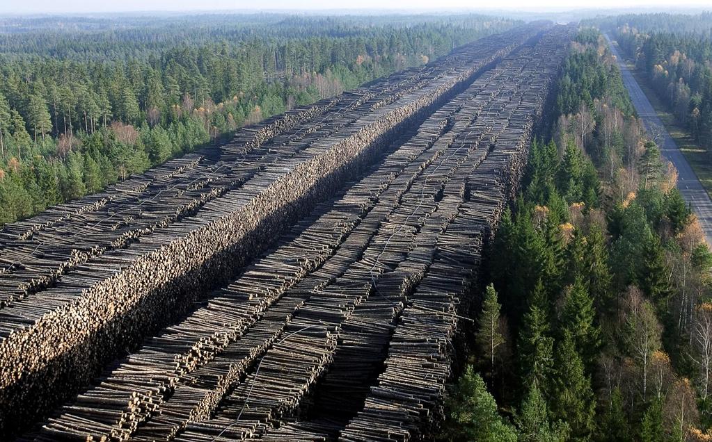 ~ 1 million cubic meters of wood ~ 0.