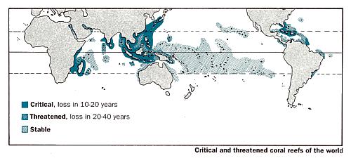 4. The threats and the causes The dangers facing coral reefs today have more than one cause, but they all result from global changes.