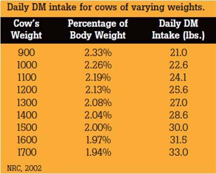 Mature Size Bigger cows have higher maintenance energy requirements Intake increases ~1.5 lbs./day for each 100 lbs.