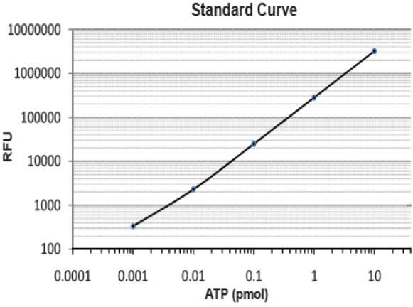 Figure: (Top) Example ATP Standard Curve.