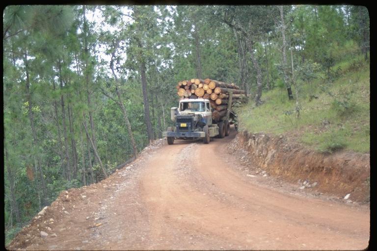 Biodiversity Impacts of Ancillary Facilities: Access Roads Induced Impacts (from increased human access): Deforestation or other land clearing Excessive wood cutting Hunting of vulnerable species
