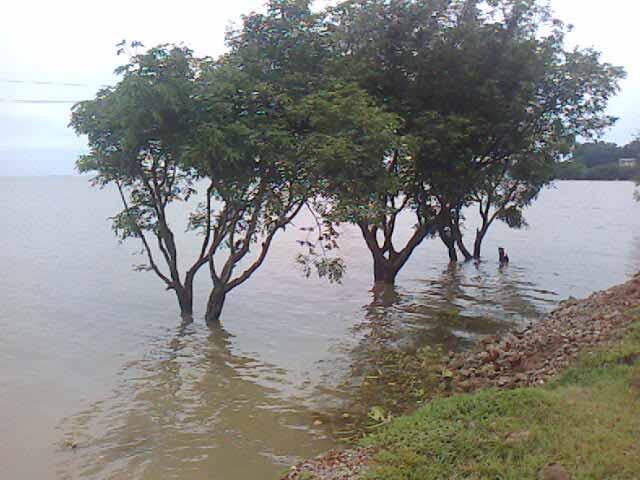 Management of haors, baors, and beels in Bangladesh: Lesson for Lake
