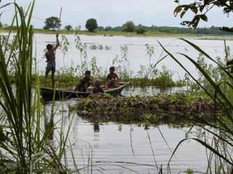 BAIRA -Floating Garden Baira is an indigenous practice of the farmers in southwest districts of