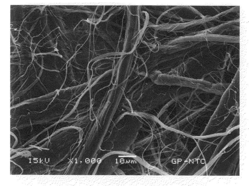 Cellulose microfibers Pure cellulose fibrils with length in the nano to micro meters scale Can be used as