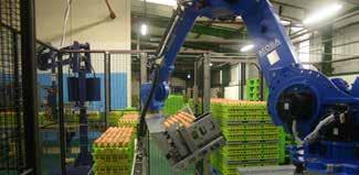 MR 50 net capacity 0,000 eph Gripper head takes 4 stacks of eggs simultaneously from pallet onto the pre-loader belt Full pallets are placed on the automatic pallet transport system by a ride-on