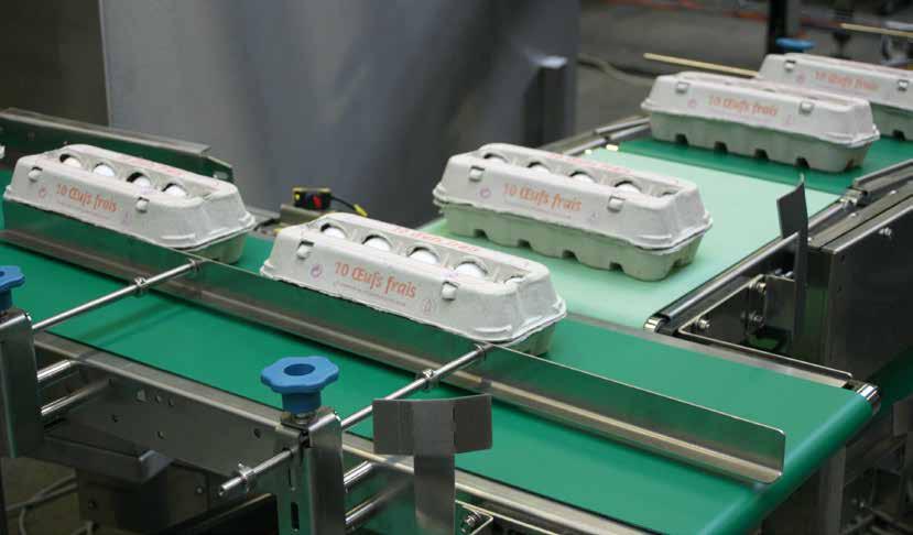 Contiflow options Unlike basic case packer and display loading functions, there are configurations where a straightforward conveyor system that brings consumer packs or trays from A