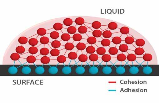 Adhesion Dynamics Surface Wettability is Key When you observe a liquid beading up on a surface you are witnessing the forces of cohesion (the
