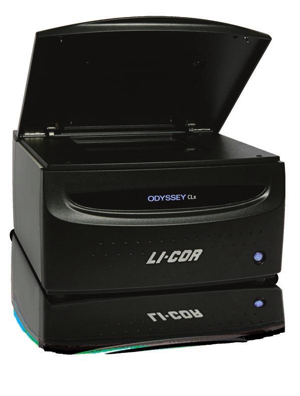 11 Odyssey Infrared Imaging Systems ODYSSEY CLx Infrared Imaging System The Odyssey CLx is the next generation of the Odyssey Classic, the most trusted and established standard in quantitative