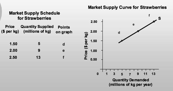 2.2 SUPPLY Market supply: 2.4 MARKET EQUILIBRIUM Price of t-shirt Market Demand Market Supply Shortage/ Surplus $20 16 0-16 $24 12 4-8 $28 8 8 0 $32 4 12 +8 $36 0 16 +16 2.
