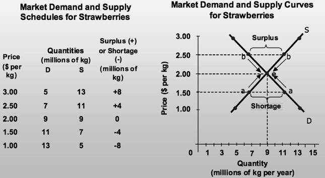 2.4 MARKET EQUILIBRIUM Why is the equilibrium price stable?