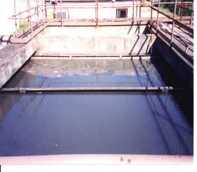 Step 2 (Biological process) Anaerobic bugs are introduced into sludge.