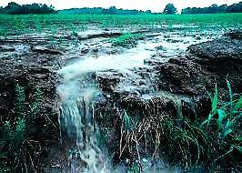 Good topsoil allows water to drain and retains