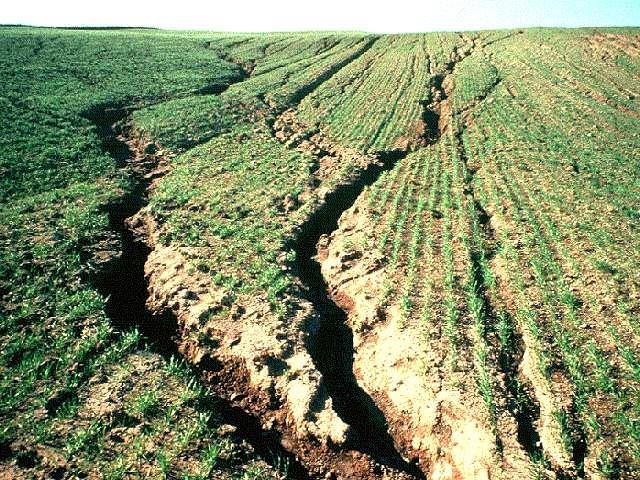 Soil erosion is often worse when land is plowed and left