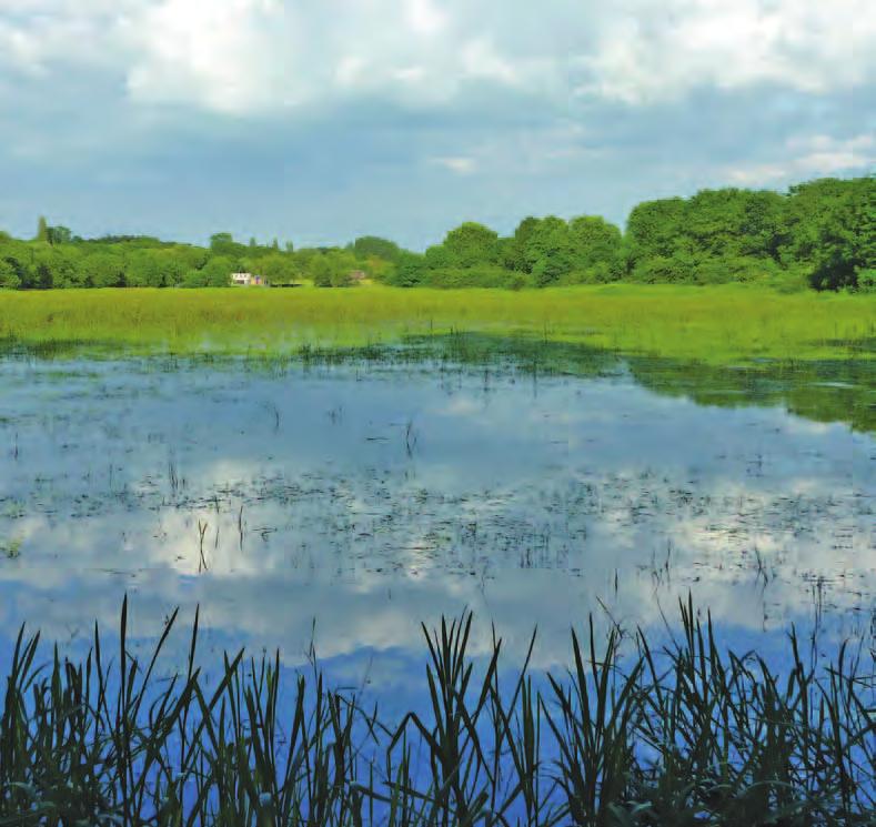 Local Authority Services and the Water Environment Advice Note on the