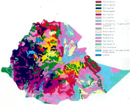 Soil information management is a key bottleneck: Ethiopian soil maps are outdated, lack detail, and have limited use in supporting soil conservation and land management interventions Extracted for