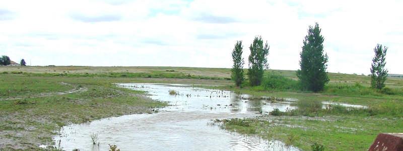 Water Quality Benefits Cottonwood Creek will be reclaimed as a meandering, shallow prairie stream that will overtop with fairly frequent storm events, allowing over-banks and secondary channels to
