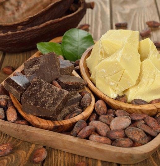 all the segments of cocoa worldwide (9% annually) 2. Thus, Latin America is responsible for 80% of the world production of fine and aromatic cocoa, with a total of 198,000 tons exported in 2015.