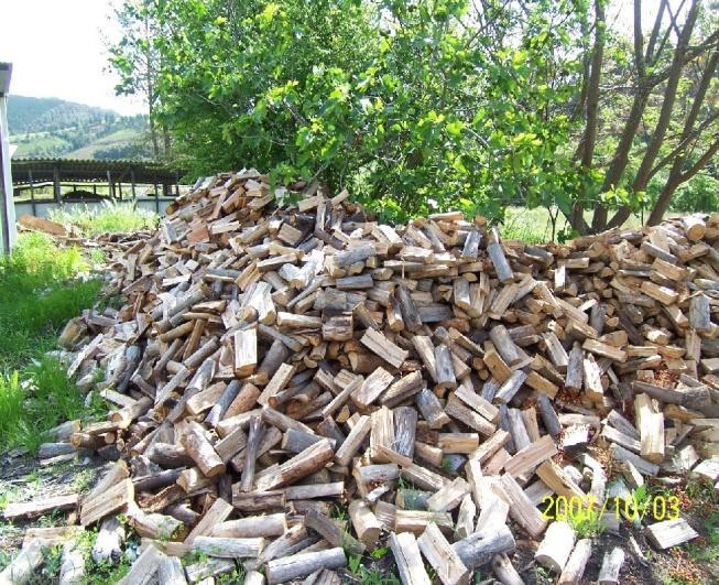 Fire wood: Increasing demand of wood for fuel increases pressure on forests.