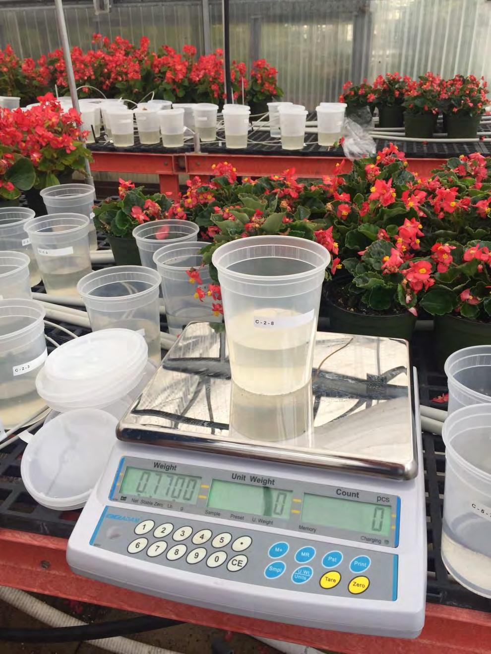 Measured crop growth and dripper flow rate