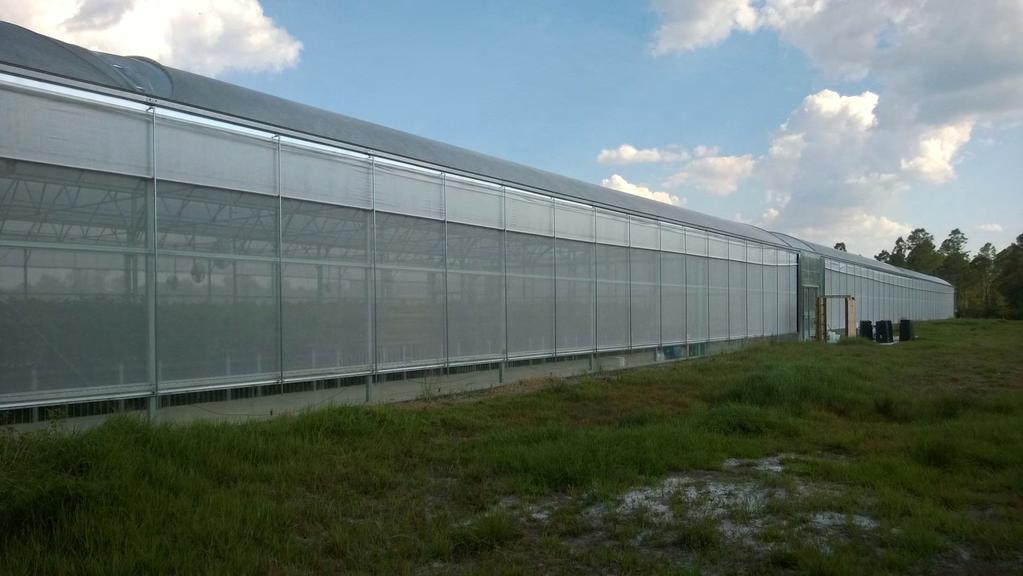 New greenhouse