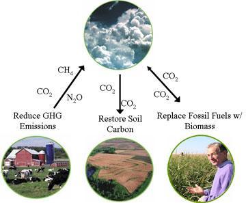 i.e. carbon credit for biochar Risk management system i.e.