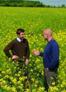 Picto Perfect? Conventional OSR candidate Picto is setting the pace for yield in the race for recommendation and Frontier have fast-tracked the variety for sale this autumn. CPM gets the inside view.