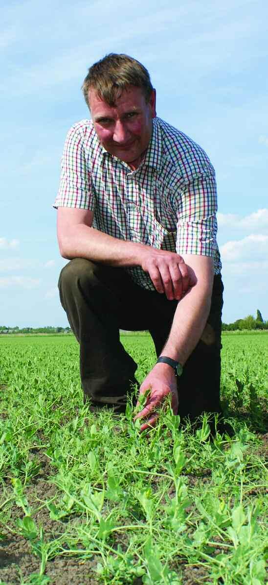 With decades of experience in large blue peas, one farming family in Cambs is achieving a gross margin that rivals a wheat crop. CPM visits to learn how.