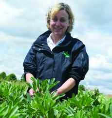 Robert Brown finds peas allow a long rotation for potatoes, provide an excellent entry to wheat and another opportunity to lower blackgrass populations.