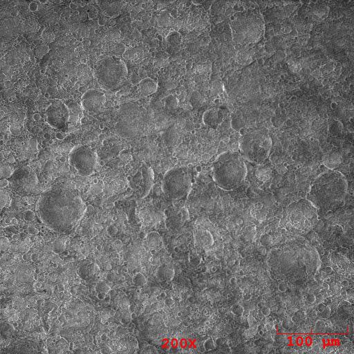SEM of two packing